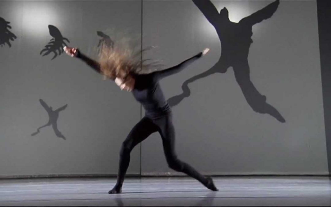 Henri Michaux y el Ego en la teoría lacaniana